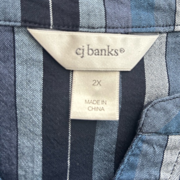 CJ Banks Blue Striped Blouse - Picture 4 of 5